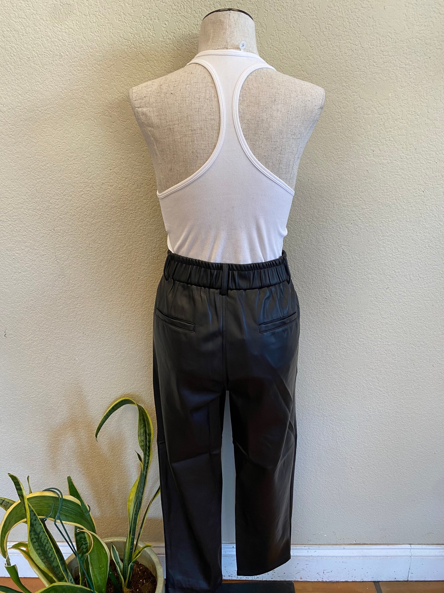 MYRA VEGAN LEATHER PANTS