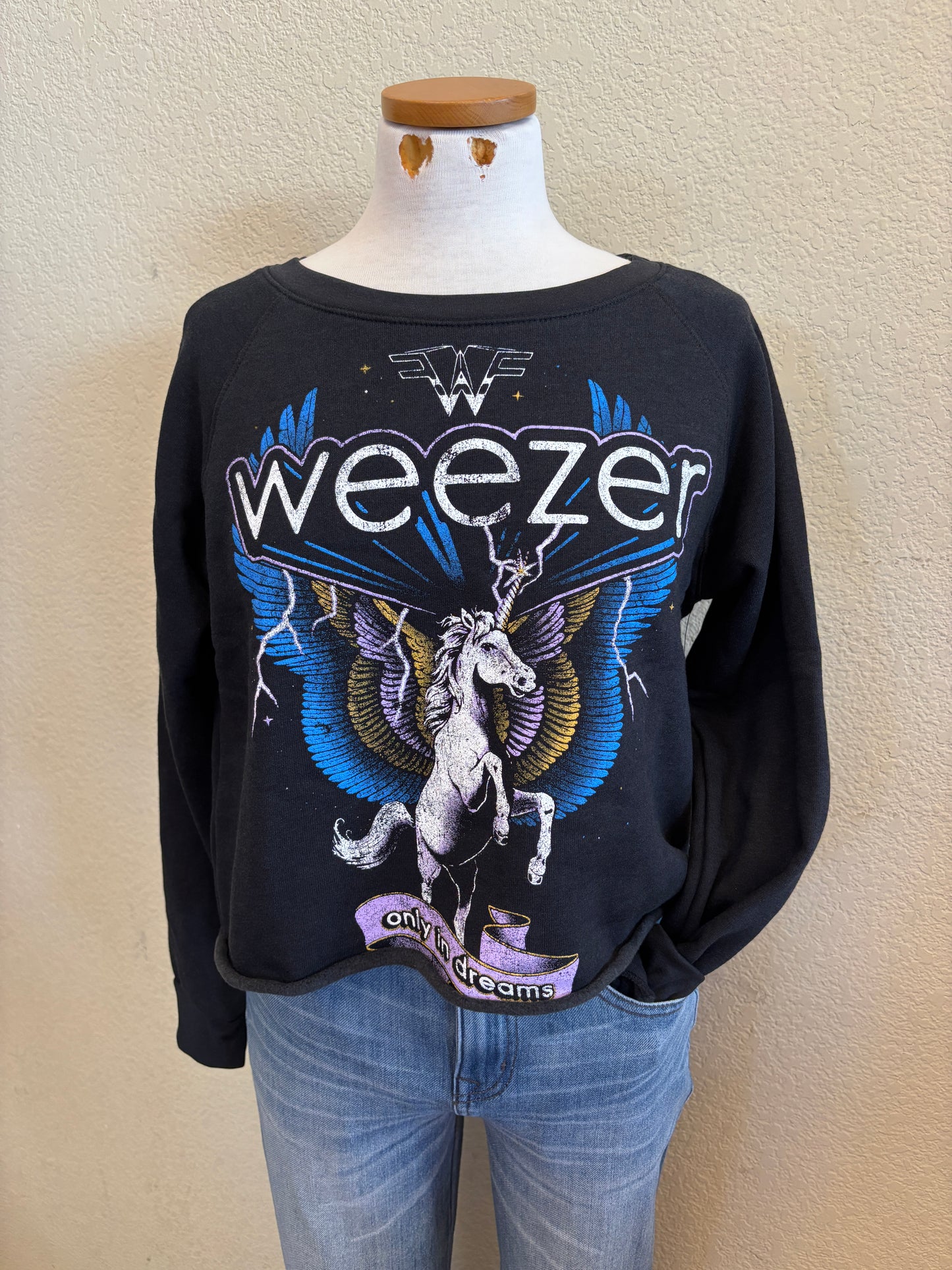 WEEZER UNICORN SWEATSHIRT